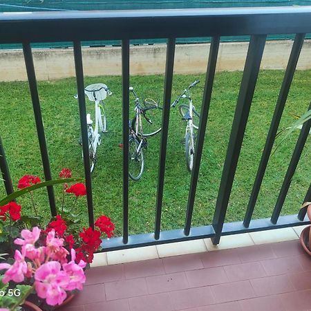 Ani Διαμέρισμα Porto SantʼElpidio Εξωτερικό φωτογραφία